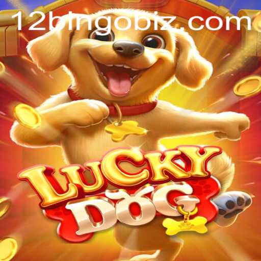 Exploring the Thrilling World of LuckyDog and Its Unique 12Bingo Feature