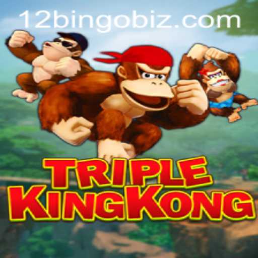 Discover the Exciting World of TripleKingKong and 12Bingo